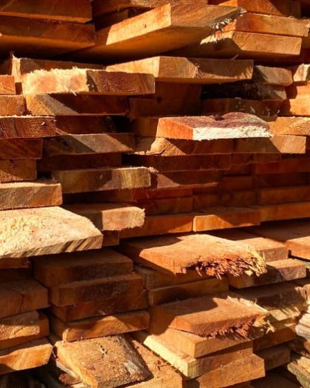 Fornecedor de madeira para construção civil em SP